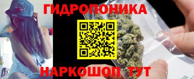 прущие грибы Вязьма