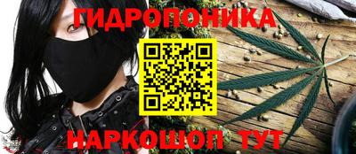 прущие грибы Вязьма