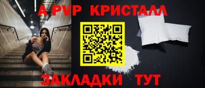 прущие грибы Вязьма